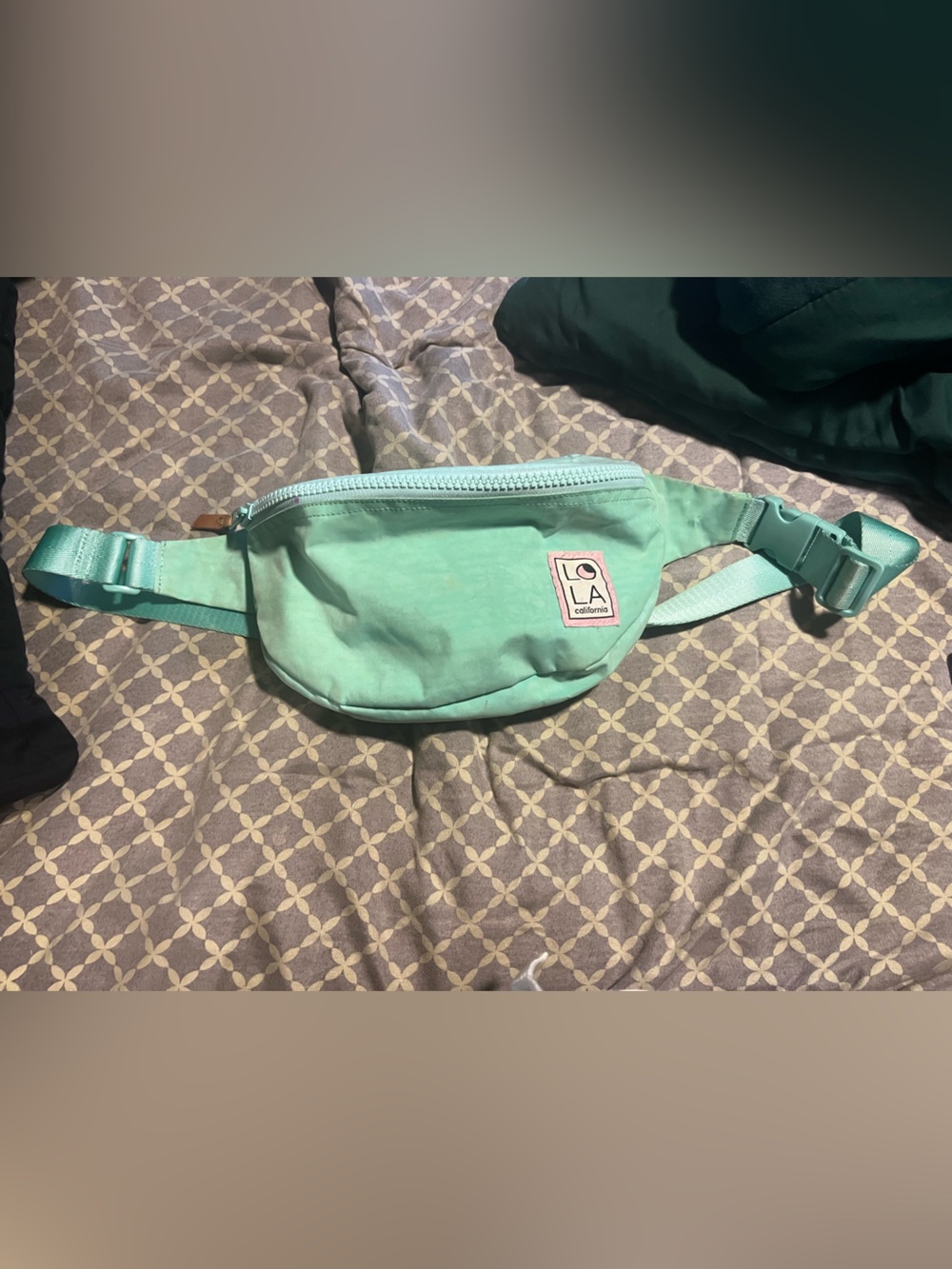lola Mint Green Belt Bag